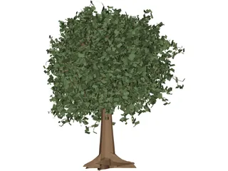 Oak Tree 3D Model preview