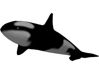 Orca 3D Model preview