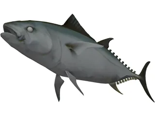 Tuna 3D Model preview