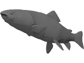 Rainbow Trout 3D Model preview