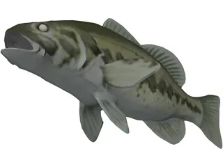 Bass 3D Model preview