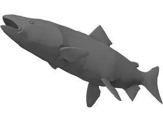 Salmon 3D Model preview