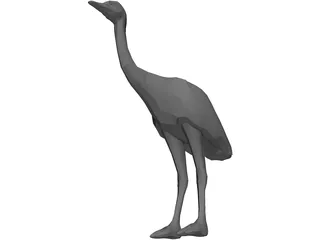 Ostrich 3D Model preview