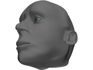 Head Male 3D Model preview