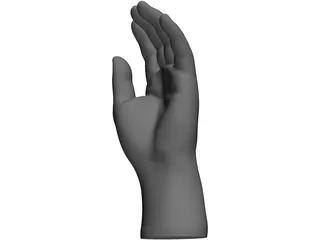 Hand 3D Model preview