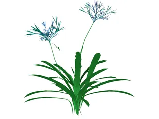 Agapanthus 3D Model preview