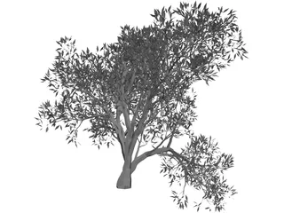 Olive Tree 3D Model preview