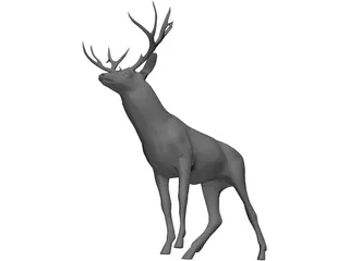 Stag 3D Model preview