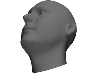 Human Head 3D Model preview