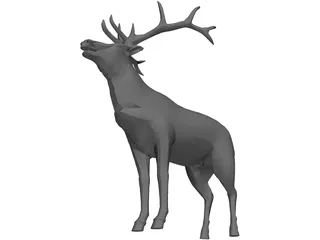 Elk 3D Model preview