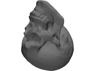 Skull Hollowed 3D Model preview