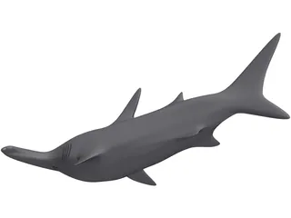Shark 3D Model preview
