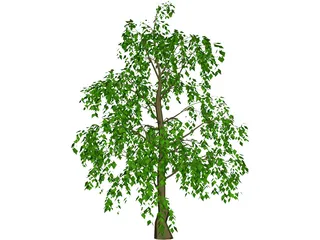 Tree 3D Model preview
