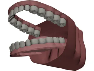 Mouth 3D Model preview