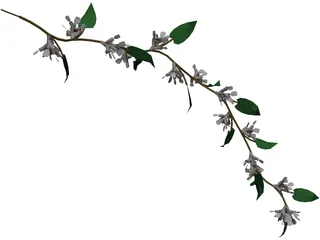 Wine Plant 3D Model preview