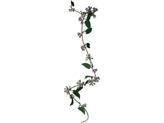 Wine Plant 3D Model preview