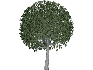Tree 3D Model preview
