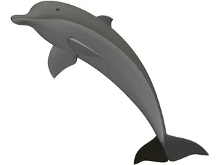Dolphin 3D Model preview