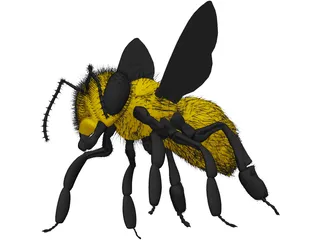 Bee with Fur 3D Model preview
