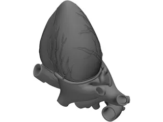 Heart Human 3D Model preview