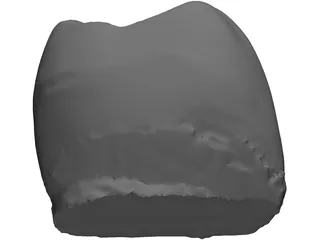 Molar Tooth 3D Model preview