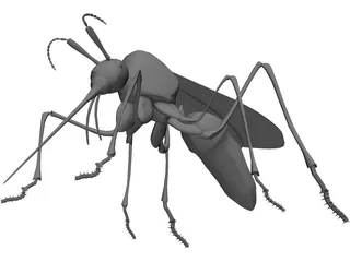 Mosquito 3D Model preview