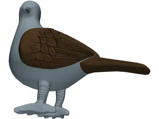 Pigeon 3D Model preview