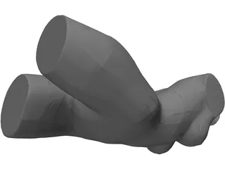 Female Torso 3D Model preview