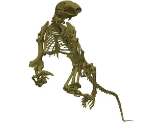 Skeleton Prehistoric 3D Model preview