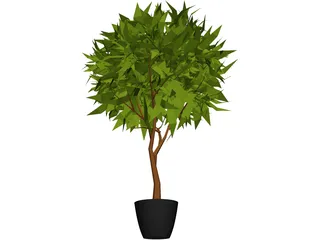 Ash Tree 3D Model preview
