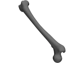 Femur Bone 3D Model preview