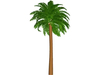 Coconut Tree 3D Model preview
