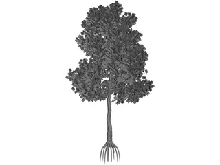 Pinus Coulteri Tree 3D Model preview
