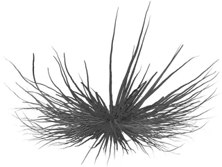 Bacteria 3D Model preview