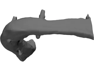 Dental Jaw 3D Model preview