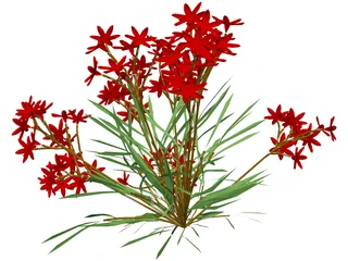 Flower 3D Model preview