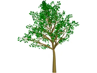 Tree 3D Model preview