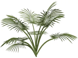 Tree 3D Model preview