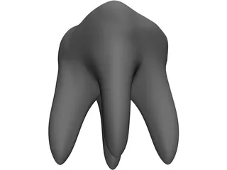 Tooth 3D Model preview