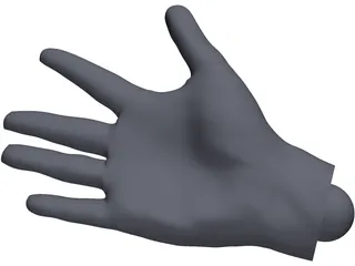 Human Hand 3D Model preview