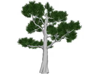 Pine Tree 3D Model preview