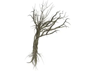 Dry Old Tree 3D Model preview