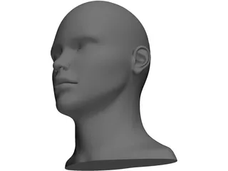 Human Head and Neck 3D Model preview