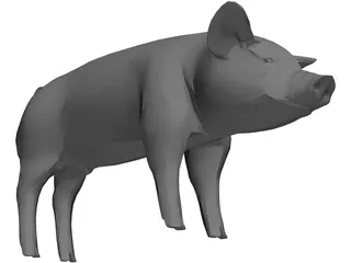 Pig 3D Model preview