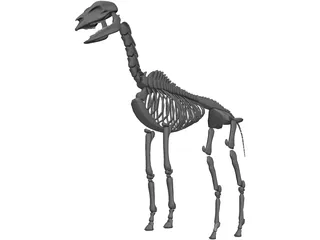Horse Skeleton 3D Model preview
