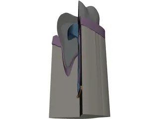 Molar Cutaway 3D Model preview