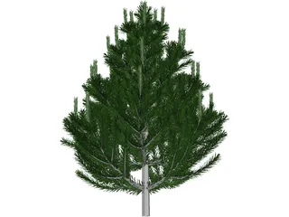 Pine Tree 3D Model preview