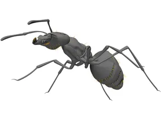 Ant Black 3D Model preview