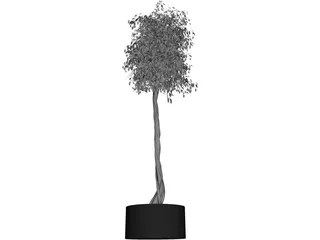Arbol Tree 3D Model preview