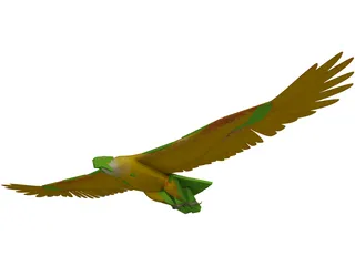 Eagle [Animated] 3D Model preview